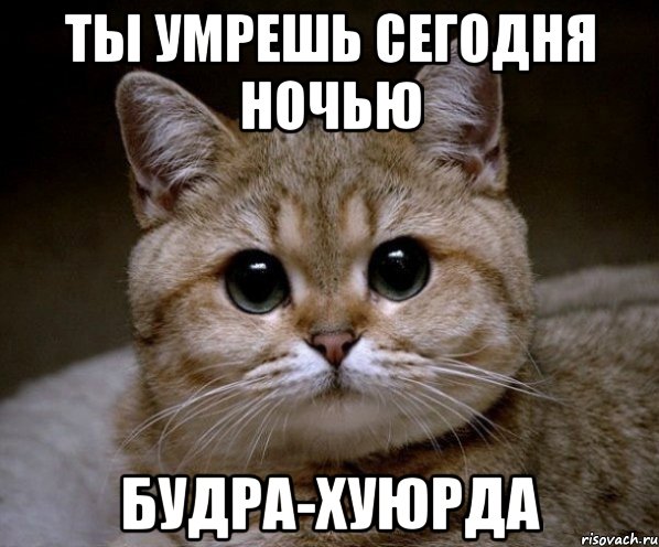 ты умрешь сегодня ночью будра-хуюрда, Мем Пидрила Ебаная