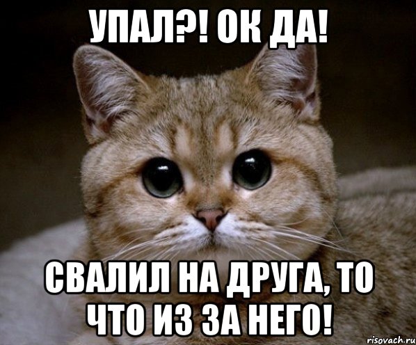 упал?! ок да! свалил на друга, то что из за него!, Мем Пидрила Ебаная