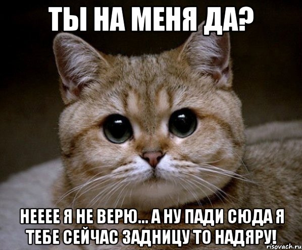 ты на меня да? нееее я не верю... а ну пади сюда я тебе сейчас задницу то надяру!, Мем Пидрила Ебаная