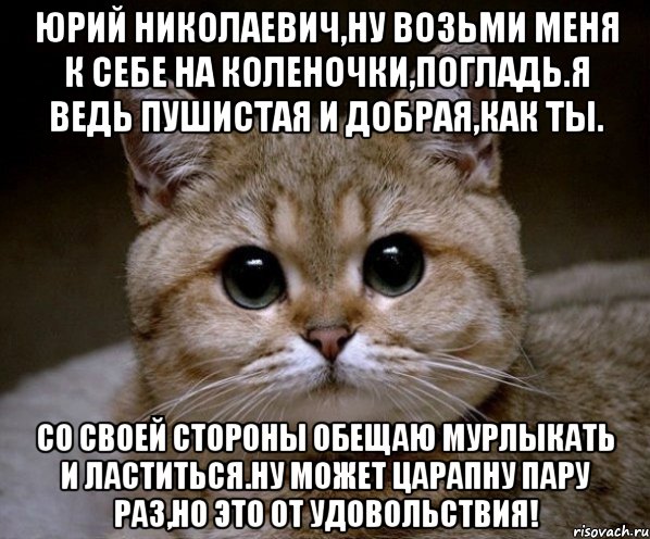 юрий николаевич,ну возьми меня к себе на коленочки,погладь.я ведь пушистая и добрая,как ты. со своей стороны обещаю мурлыкать и ластиться.ну может царапну пару раз,но это от удовольствия!, Мем Пидрила Ебаная