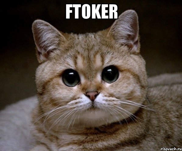ftoker , Мем Пидрила Ебаная