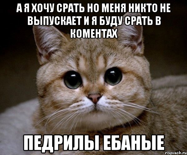 а я хочу срать но меня никто не выпускает и я буду срать в коментах педрилы ебаные, Мем Пидрила Ебаная