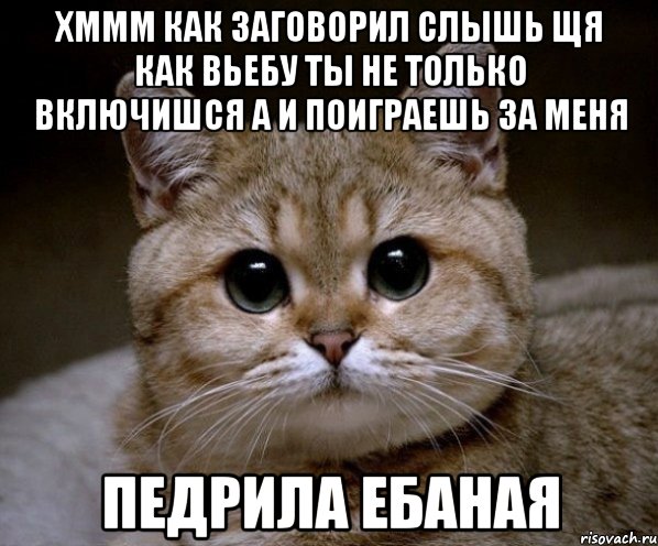 хммм как заговорил слышь щя как вьебу ты не только включишся а и поиграешь за меня педрила ебаная, Мем Пидрила Ебаная