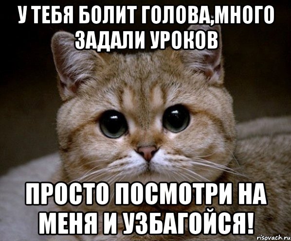 у тебя болит голова,много задали уроков просто посмотри на меня и узбагойся!, Мем Пидрила Ебаная