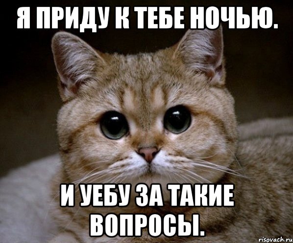 я приду к тебе ночью. и уебу за такие вопросы., Мем Пидрила Ебаная
