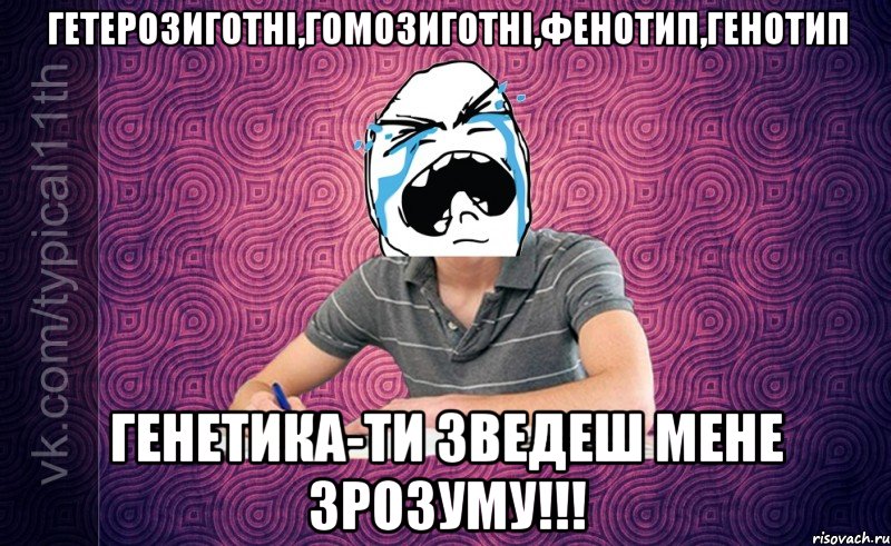 гетерозиготні,гомозиготні,фенотип,генотип генетика-ти зведеш мене зрозуму!!!