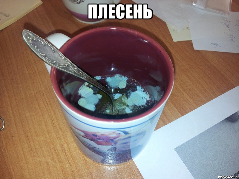 плесень , Мем плесень