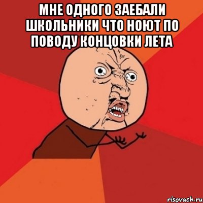 мне одного заебали школьники что ноют по поводу концовки лета , Мем Почему