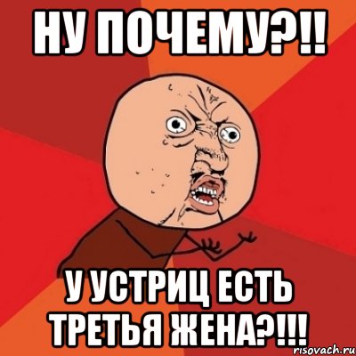 ну почему?!! у устриц есть третья жена?!!!, Мем Почему