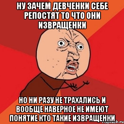 ну зачем девченки себе репостят то что они извращенки но ни разу не трахались и вообще наверное не имеют понятие кто такие извращенки, Мем Почему