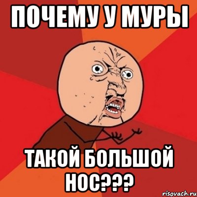 почему у муры такой большой нос???, Мем Почему