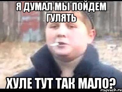 я думал мы пойдем гулять хуле тут так мало?, Мем поцык