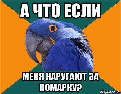 а что если меня наругают за помарку?, Мем Попугай параноик