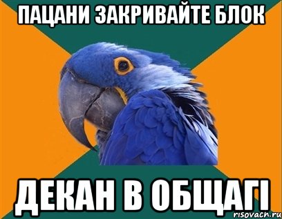 пацани закривайте блок декан в общагі, Мем Попугай параноик