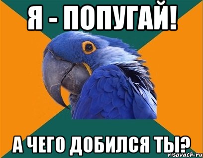 я - попугай! а чего добился ты?, Мем Попугай параноик