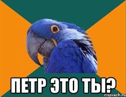  петр это ты?, Мем Попугай параноик