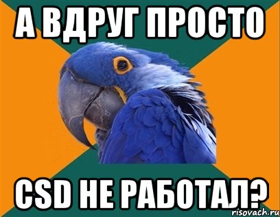 а вдруг просто csd не работал?, Мем Попугай параноик