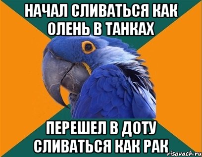 начал сливаться как олень в танках перешел в доту сливаться как рак, Мем Попугай параноик