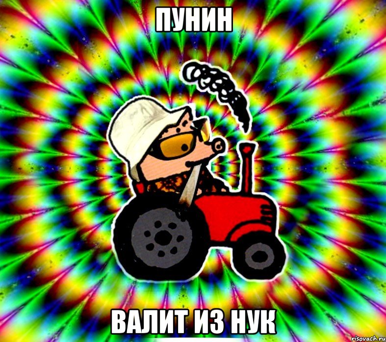 пунин валит из нук, Мем Поросенок Петр Страх и ненависть