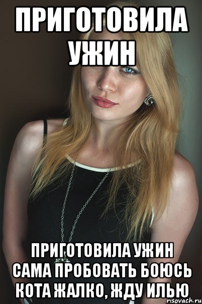 приготовила ужин приготовила ужин сама пробовать боюсь кота жалко, жду илью, Мем Приготовила ужин
