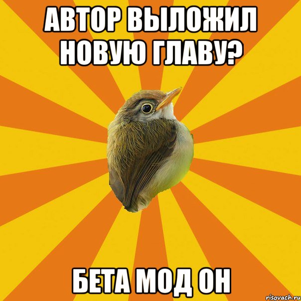 автор выложил новую главу? бета мод он, Мем Птичка