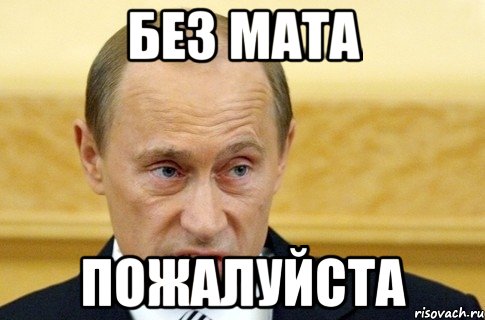 без мата пожалуйста, Мем путин