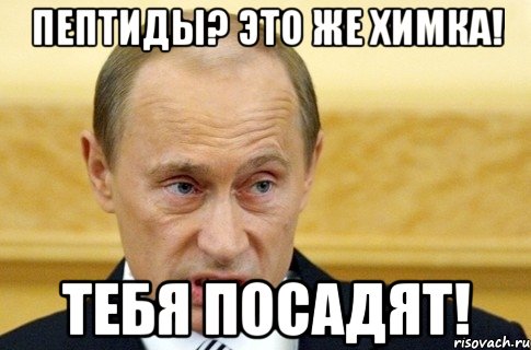 пептиды? это же химка! тебя посадят!, Мем путин