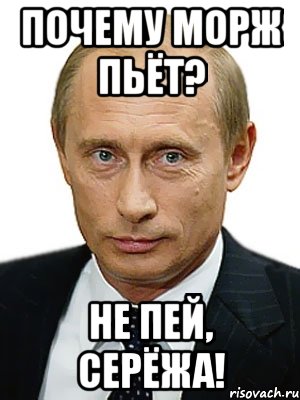 почему морж пьёт? не пей, серёжа!, Мем Путин