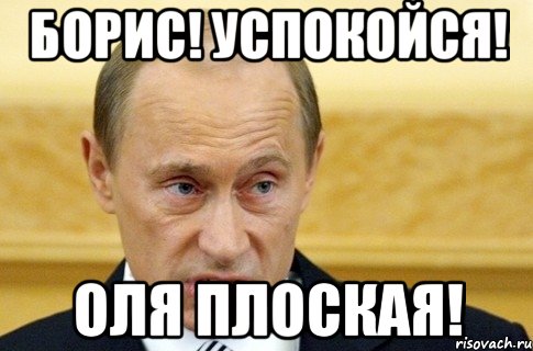 борис! успокойся! оля плоская!, Мем путин