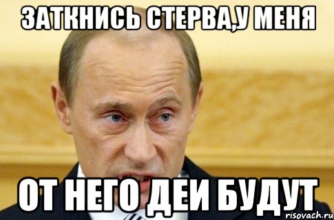 заткнись стерва,у меня от него деи будут, Мем путин