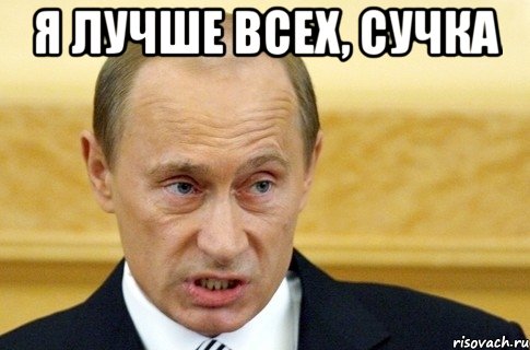 я лучше всех, сучка , Мем путин