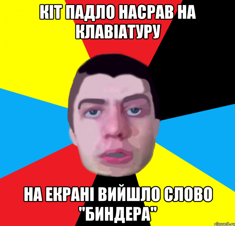 кіт падло насрав на клавіатуру на екрані вийшло слово "биндера"
