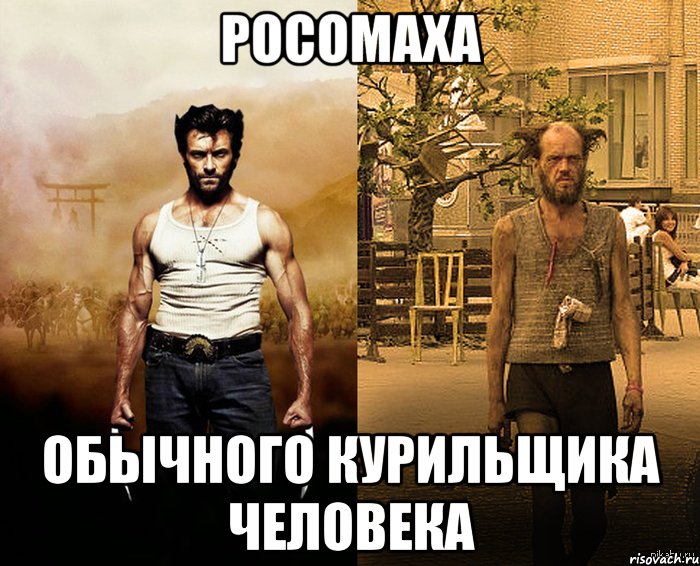 росомаха обычного курильщика человека, Мем Росомаха обычного человека Росом