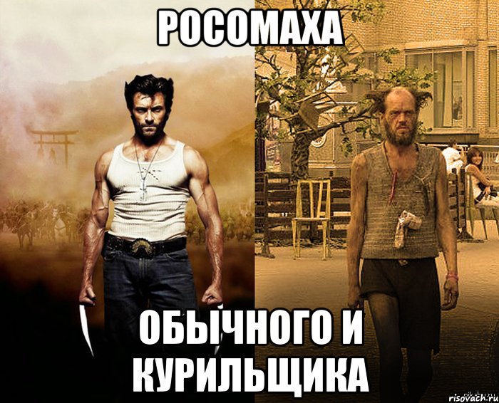 росомаха обычного и курильщика, Мем Росомаха обычного человека Росом