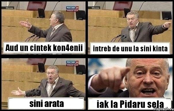 Aud un cintek kon4enii intreb de unu la sini kinta sini arata iak la Pidaru sela