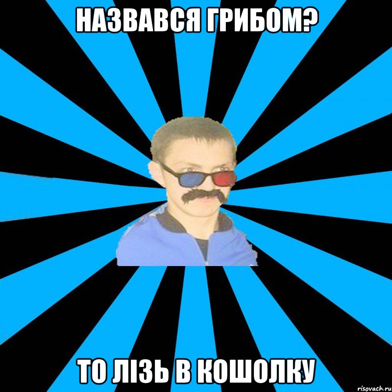 назвався грибом? то лізь в кошолку