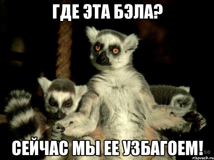 где эта бэла? сейчас мы ее узбагоем!