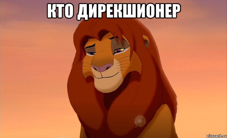 кто дирекшионер , Мем симба 2