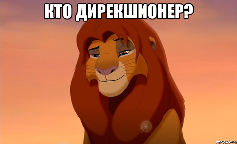 кто дирекшионер? , Мем симба 2