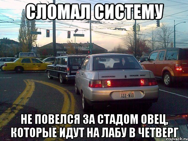 сломал систему не повелся за стадом овец, которые идут на лабу в четверг, Мем Сломал систему