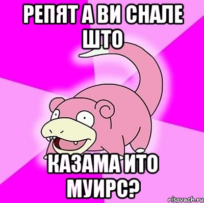 репят а ви снале што казама ито муирс?, Мем слоупок