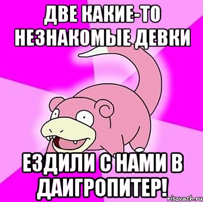 две какие-то незнакомые девки ездили с нами в даигропитер!, Мем слоупок