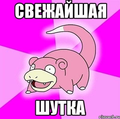 свежайшая шутка, Мем слоупок