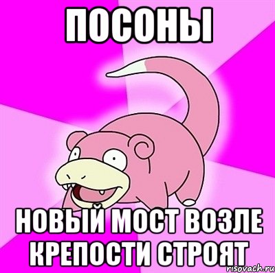 посоны новый мост возле крепости строят, Мем слоупок