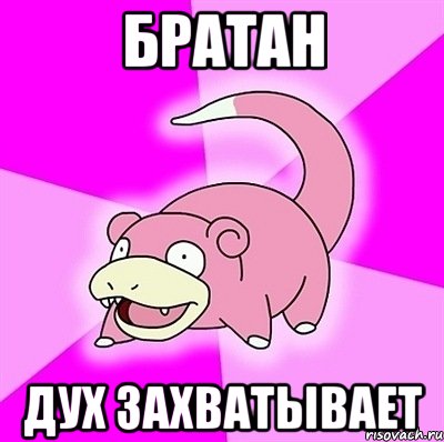 братан дух захватывает, Мем слоупок