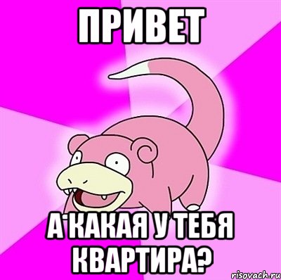 привет а какая у тебя квартира?, Мем слоупок
