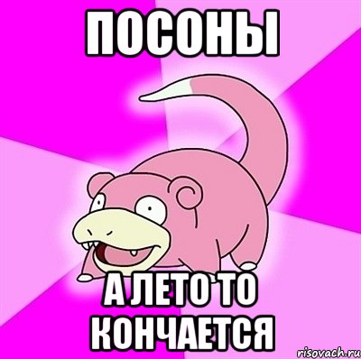 посоны а лето то кончается, Мем слоупок