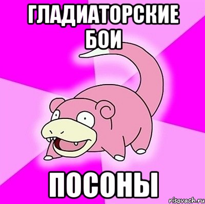 гладиаторские бои посоны, Мем слоупок
