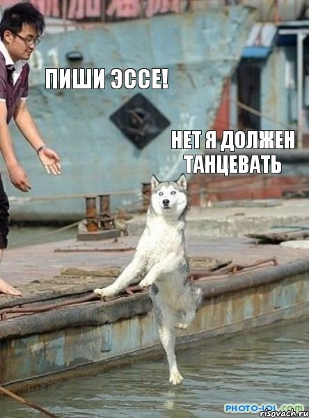 Пиши эссе! НЕТ Я ДОЛЖЕН ТАНЦЕВАТЬ