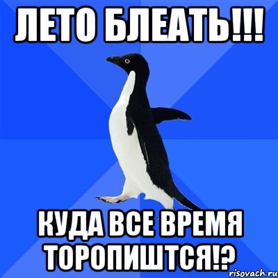 лето блеать!!! куда все время торопиштся!?, Мем  Социально-неуклюжий пингвин